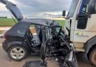 Grave Acidente entre Caminhão e Carro na GO-217