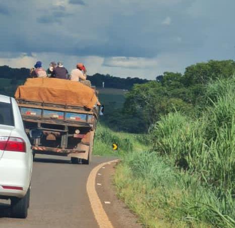 Trabalhadores são transportados em cima de carga em  caminhão na GO 330 entre Ouro Verde e Campo Limpo de Goiás