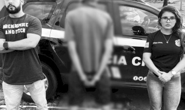 Polícia Civil de Petrolina de Goiás  prende autor de furto em flagrante