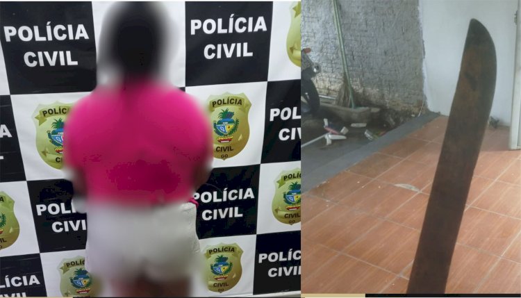 Polícia Civil de São Francisco de Goiás, efetua  prisão em flagrante de mulher  pelo crime de grave ameaça e dano qualificado contra seu companheiro