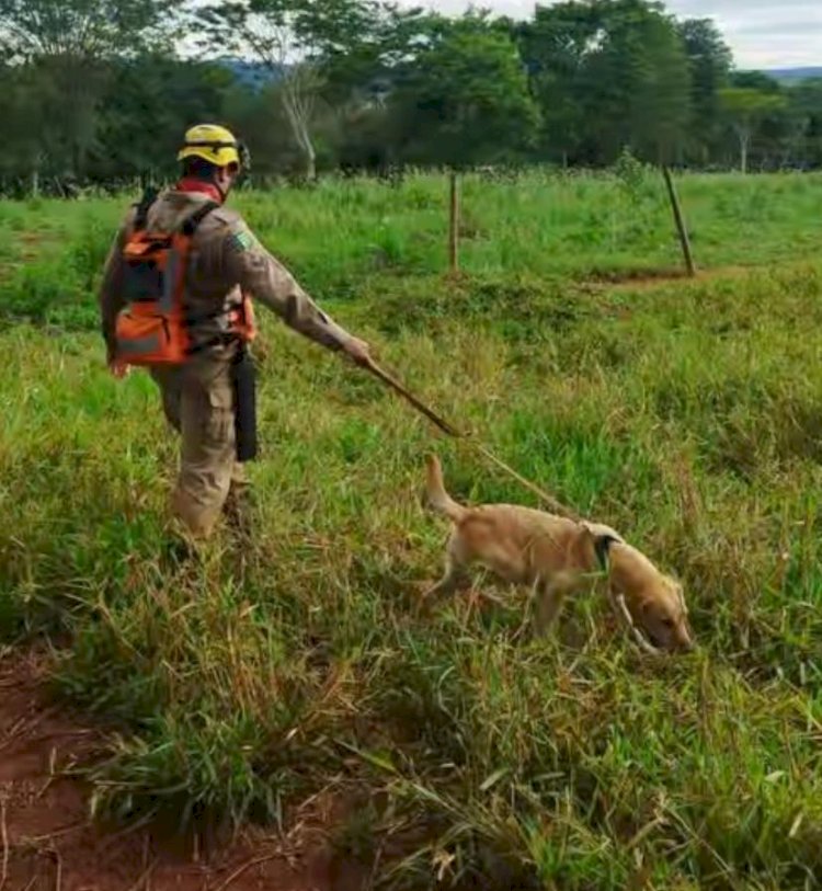 Bombeiros intensificam buscas por  jovem desaparecido em Radiolândia