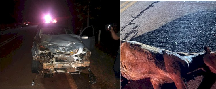 Carro bate em cavalo na GO-330,  entre Petrolina e Santa Rosa de Goiás