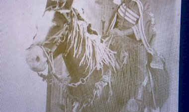 Uma verdadeira relíquia histórica e cultural de São Francisco de Goiás.