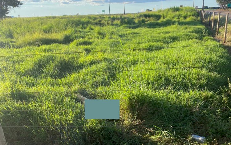 Corpo de um homem foi encontrado  próximo a cidade de Petrolina de Goiás
